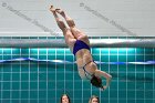 Swimming & Diving vs Babson  Swimming & Diving vs Babson College. - Photo by Keith Nordstrom : Wheaton, Swimming